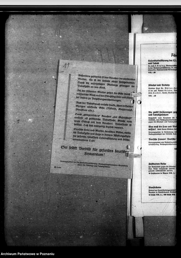 Obraz 15 z jednostki "Bekämpfung der Tabakgefahren"