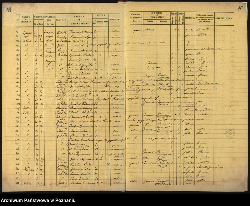 Obraz 10 z jednostki "Księga zgonów"