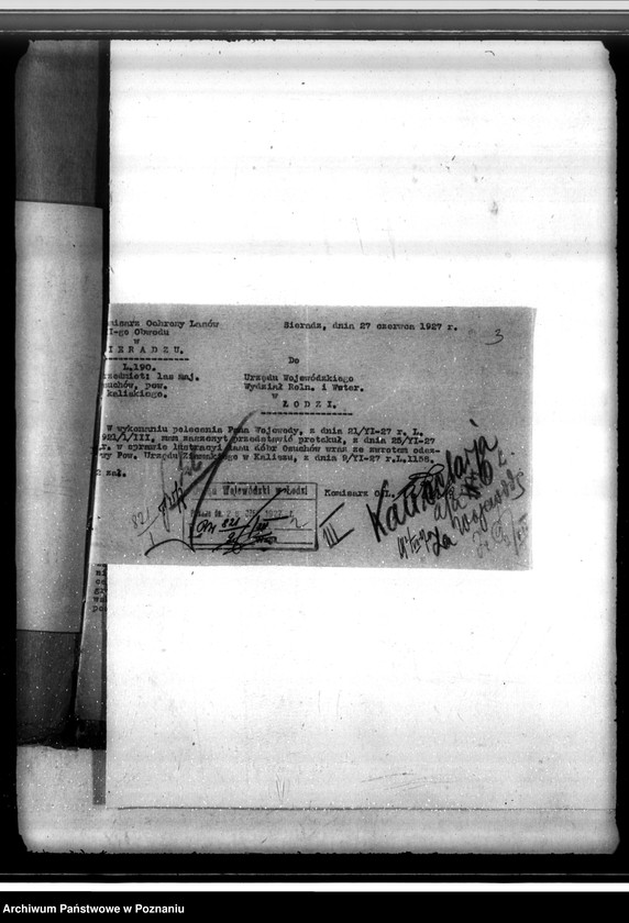 Obraz 7 z jednostki "Sprawa lustracji lasu dóbr Osuchów powiatu kaliskiego oraz sprawa odroczenia terminu zalesienia 3,06 ha gruntów leśnych"