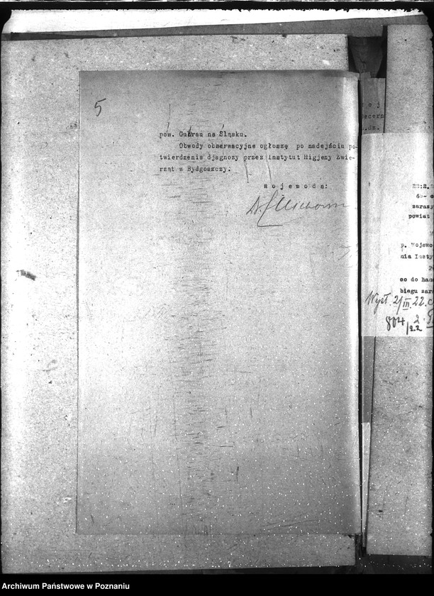 Obraz 9 z jednostki "Zaraza płucna - Rawicz"