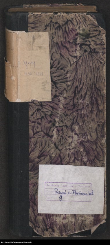 Obraz 2 z jednostki "Indeks zgonów"