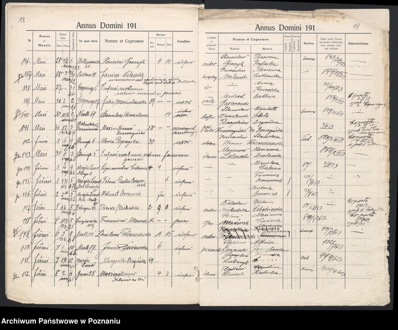 Obraz 12 z jednostki "Indeks zgonów"