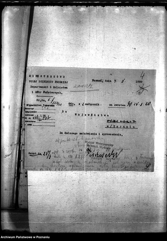 Obraz 8 z jednostki "Nosacizna - Grudziądz"