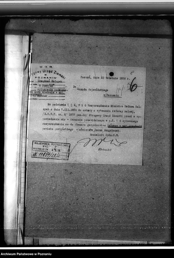 Obraz 12 z jednostki "Majętność leśna Krzyżanki w powiecie gostyńskim"