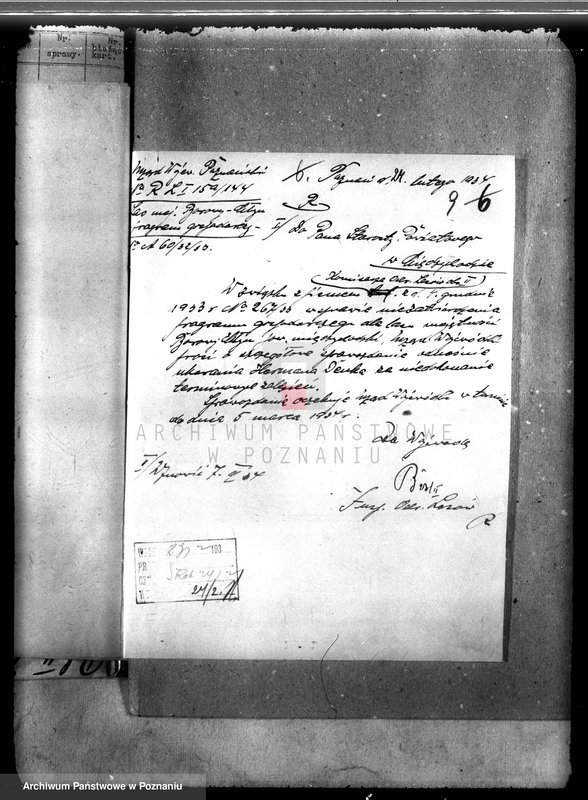 Obraz 13 z jednostki "Las majątku Borowy Młyn powiat międzychodzki"