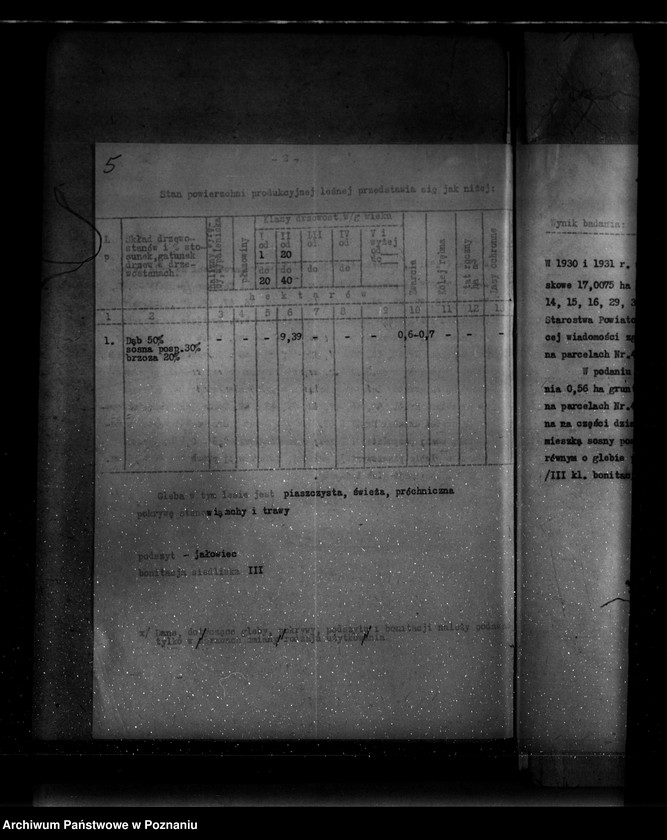 Obraz 9 z jednostki "Parcele leśne pod nazwą,,Zakrzew" powiat turecki"