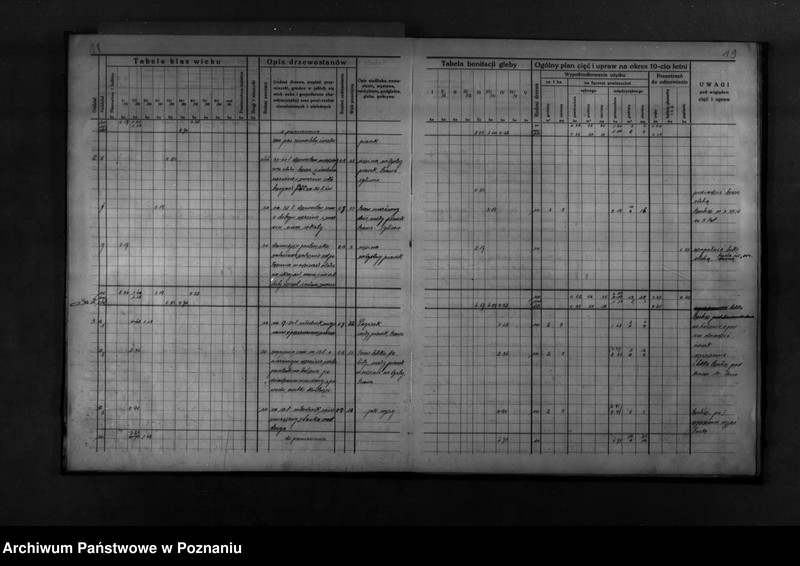Obraz 20 z jednostki "Program urządzenia gospodarstwa leśnego dla lasu majętności Wronczyn-Pomarzanowice powiat poznański 1936-1946"
