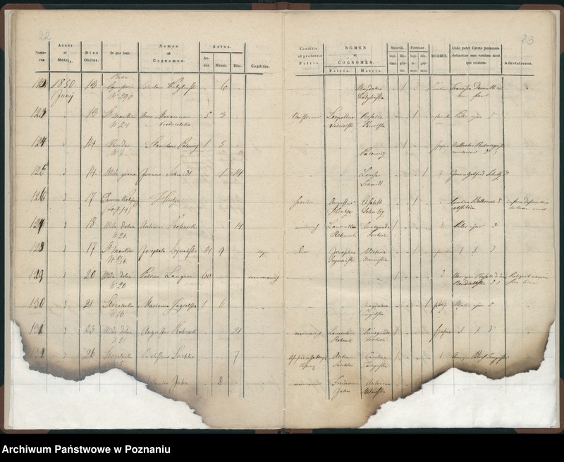 Obraz 14 z jednostki "Księga zgonów"