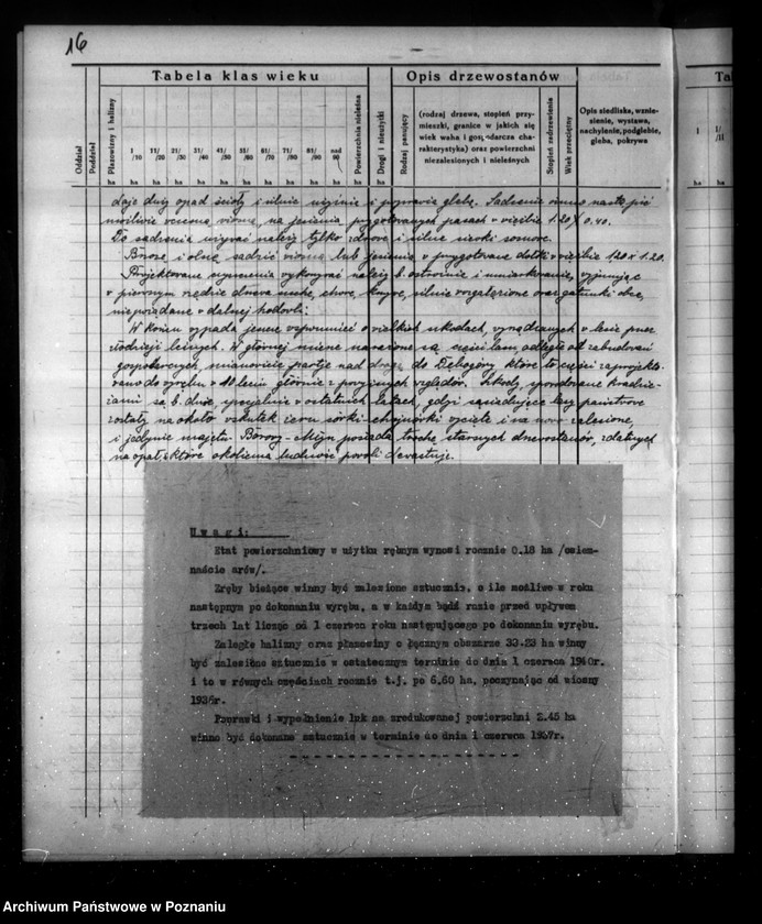 Obraz 20 z jednostki "Program urządzenia gospodarstwa leśnego dla lasu majątku Borowy-Młyn w powiecie międzychodzkim/"