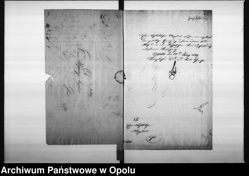 Obraz 11 z jednostki "Acta betreffend: die Ablösung der Anton und Juliana Rigol