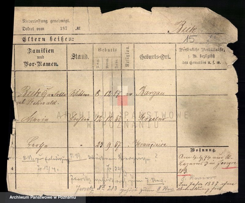 Obraz 17 z jednostki "Buk - Bukowitz"