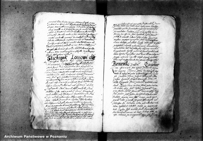 Obraz 8 z jednostki "Inscriptiones [inducta]"