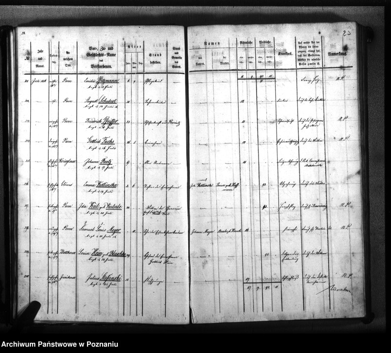 Obraz 19 z jednostki "Sterbenbuch"