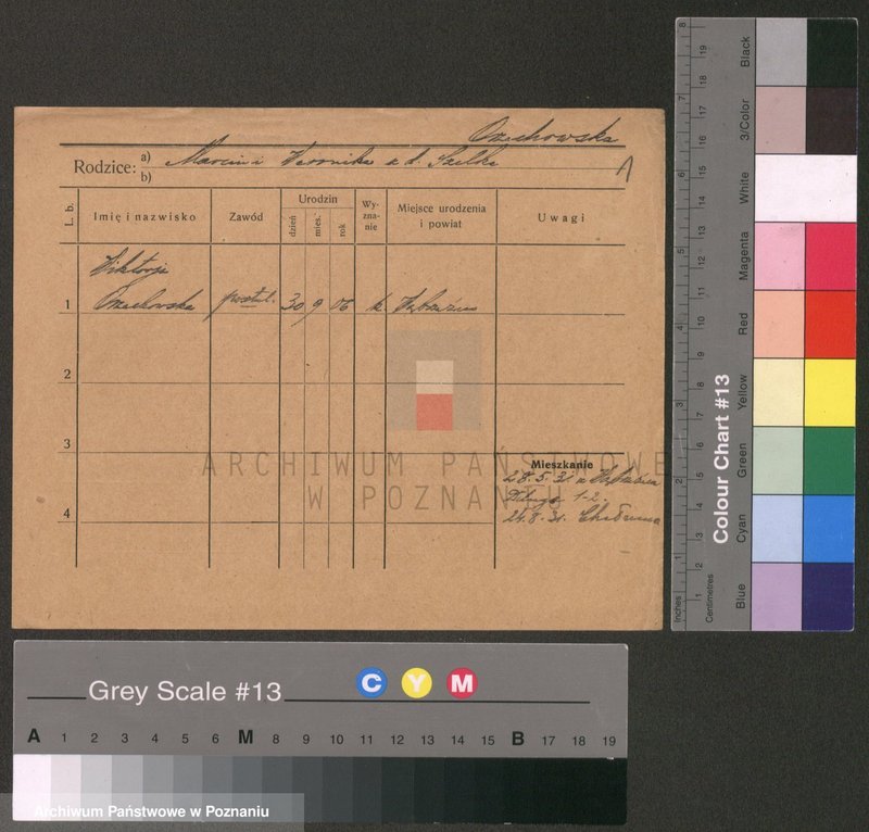 Obraz 1 z jednostki "Ormay - Osinek"