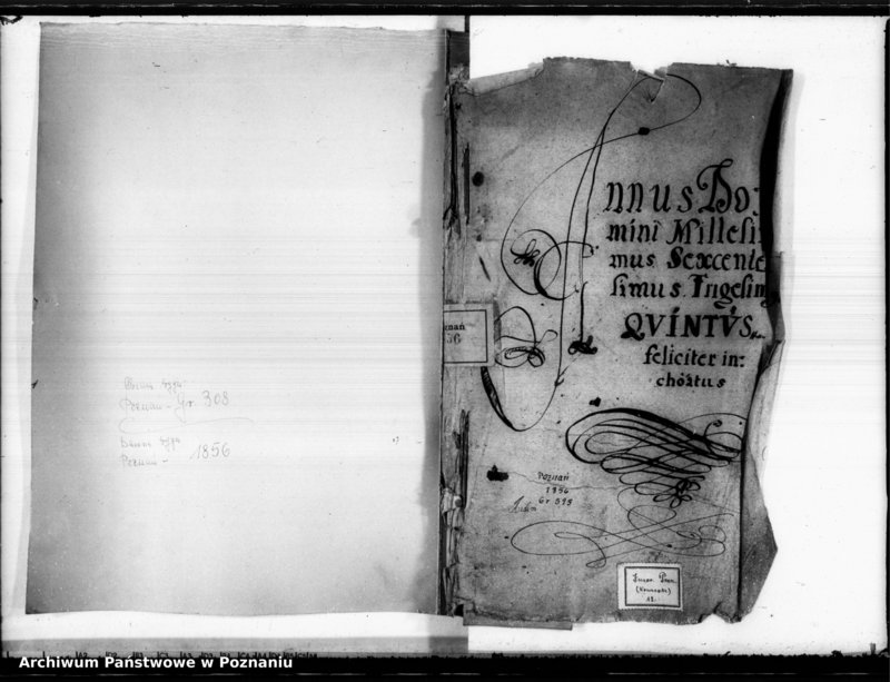 Obraz 3 z jednostki "Inscriptiones, (resignationes) [protocollon]"