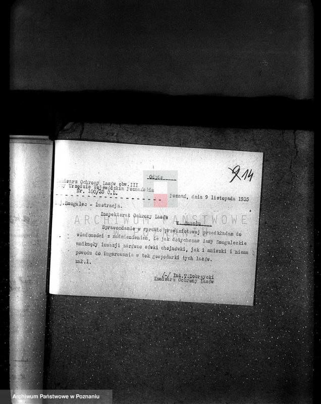 Obraz 18 z jednostki "Majętność /leśna/ Smogulecka Wieś powiat szubiński"