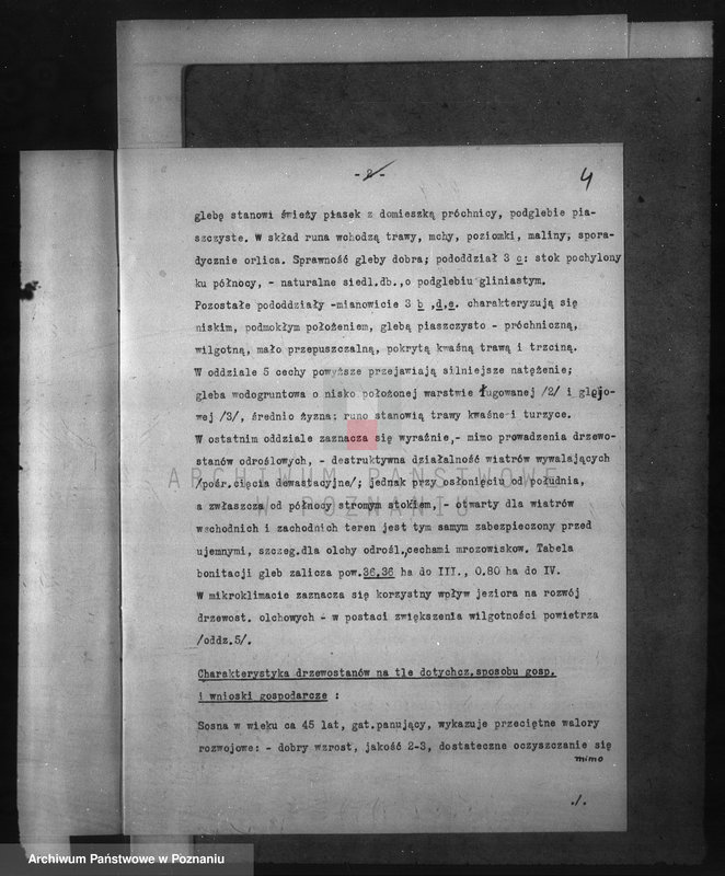 Obraz 8 z jednostki "Program urządzenia gospodarstwa leśnego dla lasu majętności Glinno powiat poznański 1938-1948"