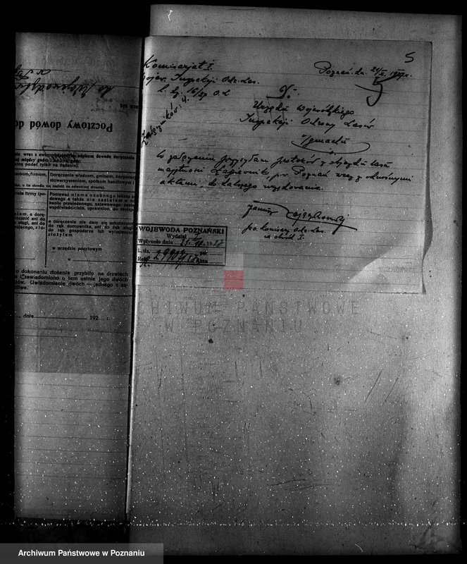 Obraz 9 z jednostki "Nadzór nad gospodarką w lasach majętności Łagiewniki"