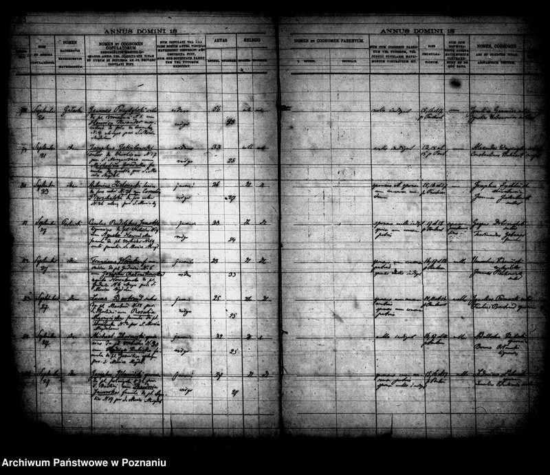 Obraz 11 z jednostki "Księga małżeństw"