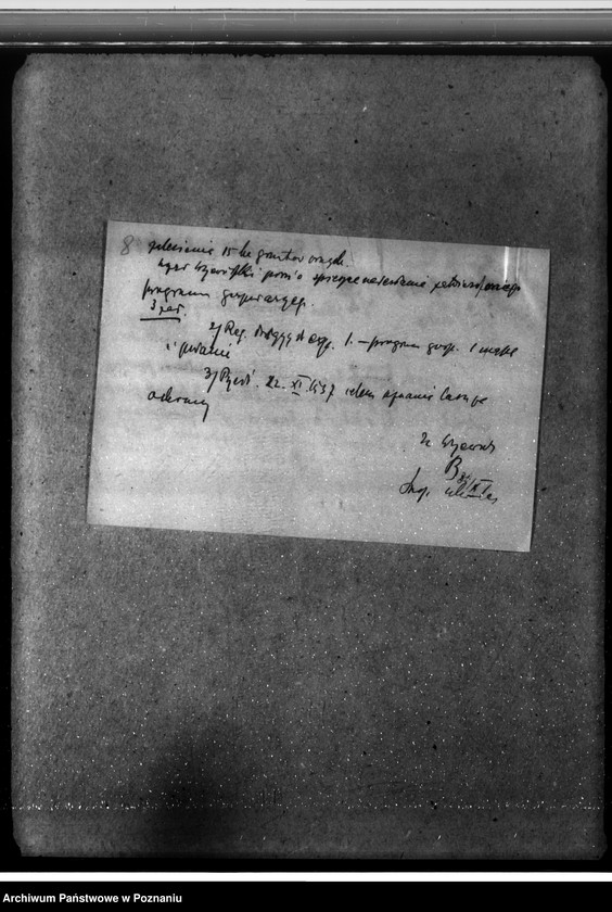 Obraz 12 z jednostki "Las majętności Dalabuszki powiat gostyński"