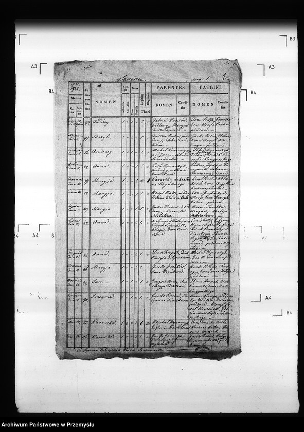 Obraz 6 z jednostki "[Kopie ksiąg metrykalnych parafii Szczerzec z filią Parypsy (dekanat Niemirów)]"
