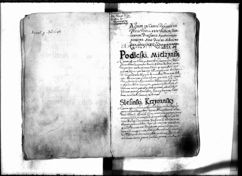 Obraz 5 z jednostki "Inscriptiones [inducta]"