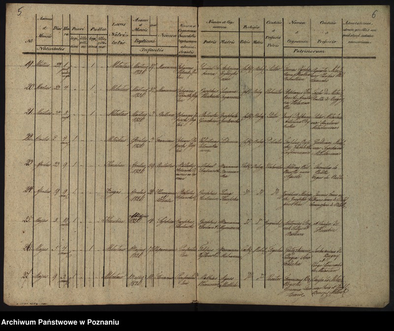 Obraz 6 z jednostki "Libri Metrices Baptisatorum, Copulatorum, Mortuorum"