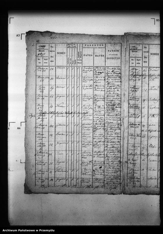 image.from.unit.number "[Kopie ksiąg metrykalnych parafii Borszowice z filiami Bybło, Paćkowice (dekanat Niżankowice)]"