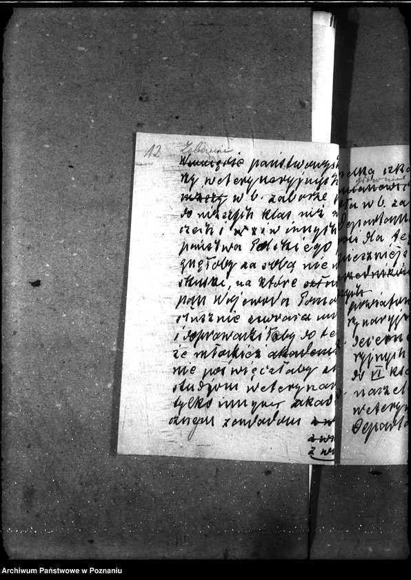 Obraz 16 z jednostki "Powiatowi lekarze weterynaryjni"