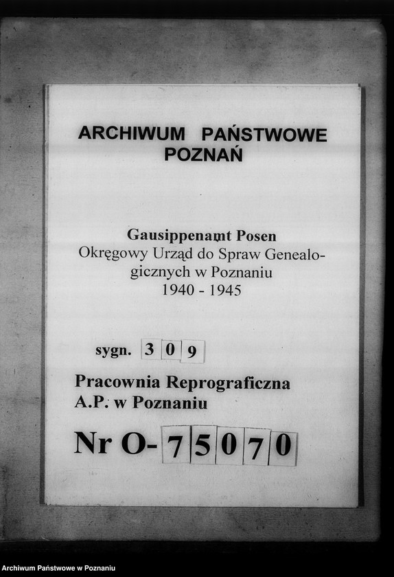 Obraz 1 z jednostki "Register der Juden, Dissidenten und Kirchenbuchduplikate [powiaty: śremski, średzki i wolsztyński]"