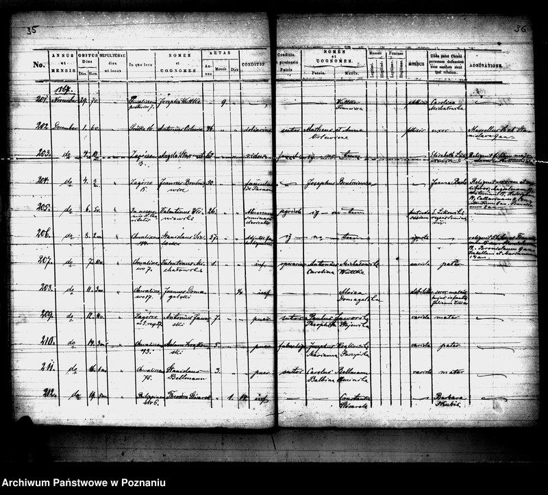 Obraz 19 z jednostki "Księga zgonów"