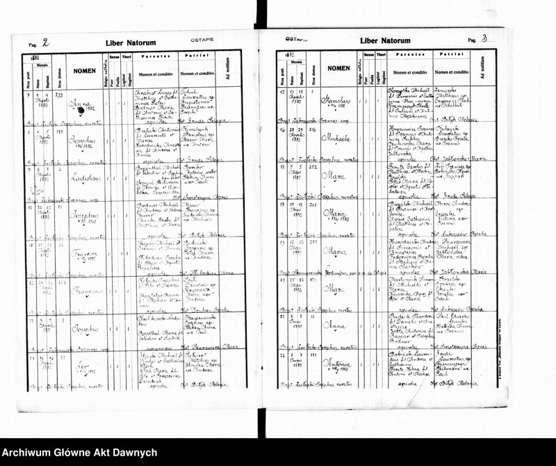 image.from.unit.number "Parafia: Grzymałów. Dekanat: Skałat. Księga metrykalna urodzeń dla wsi Ostapie*."