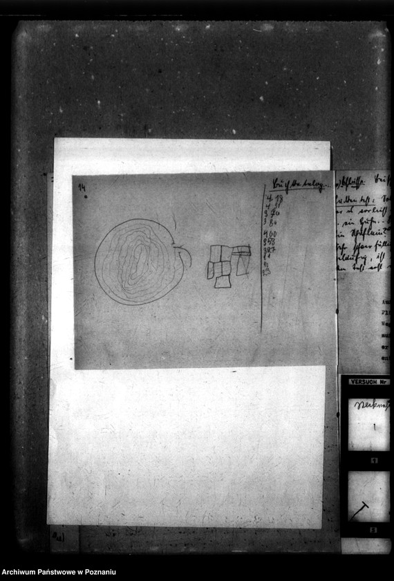 Obraz 18 z jednostki "Dem Lebensborn noch vorzuschlagen [Wyniki badań psychologicznych dzieci przewidzianych do przekazania organizacji "Lebensborn"]."