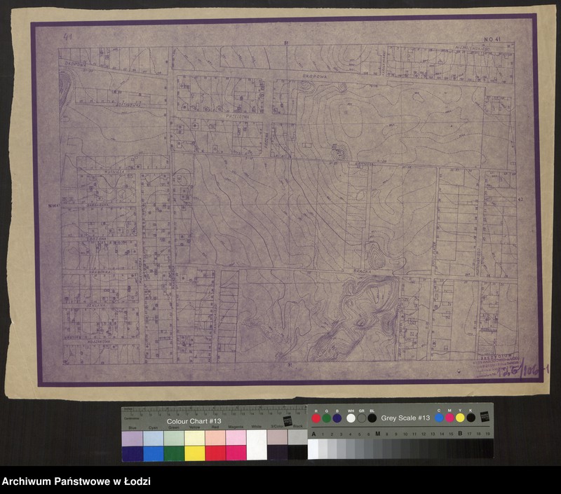 Obraz 1 z jednostki "Plan miasta Łodzi. Sekcja NO 41"