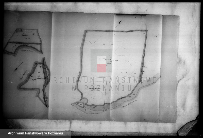 Obraz 8 z jednostki "Rejestr pomiarowy zasiewów i upraw majątku Trzeboń powiatu wyrzyskiego"