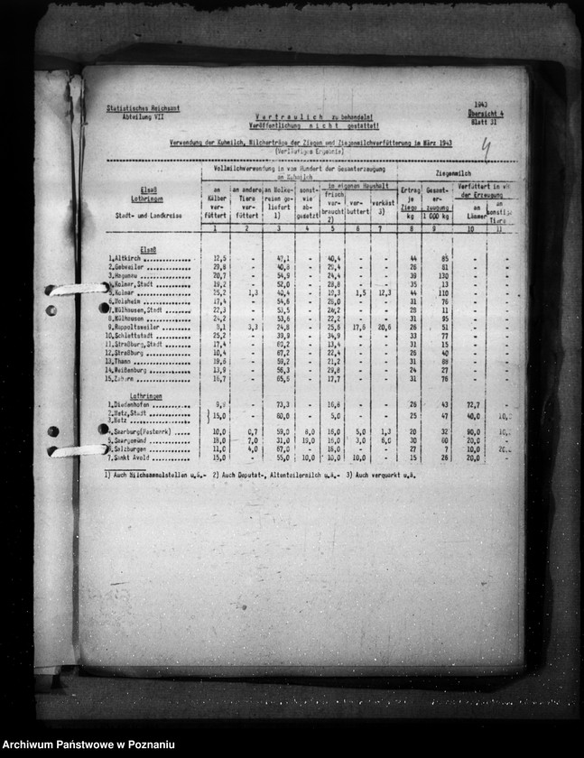 Obraz 8 z jednostki "Elsass - Lothringen"