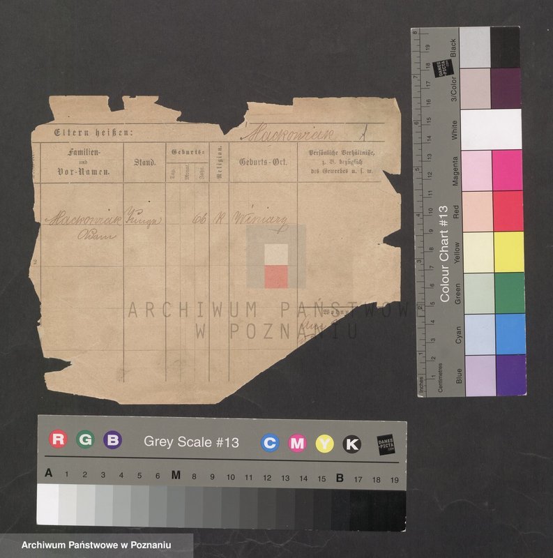 Obraz 3 z jednostki "Maćkowiak (samotni mężczyźni i kobiety)"