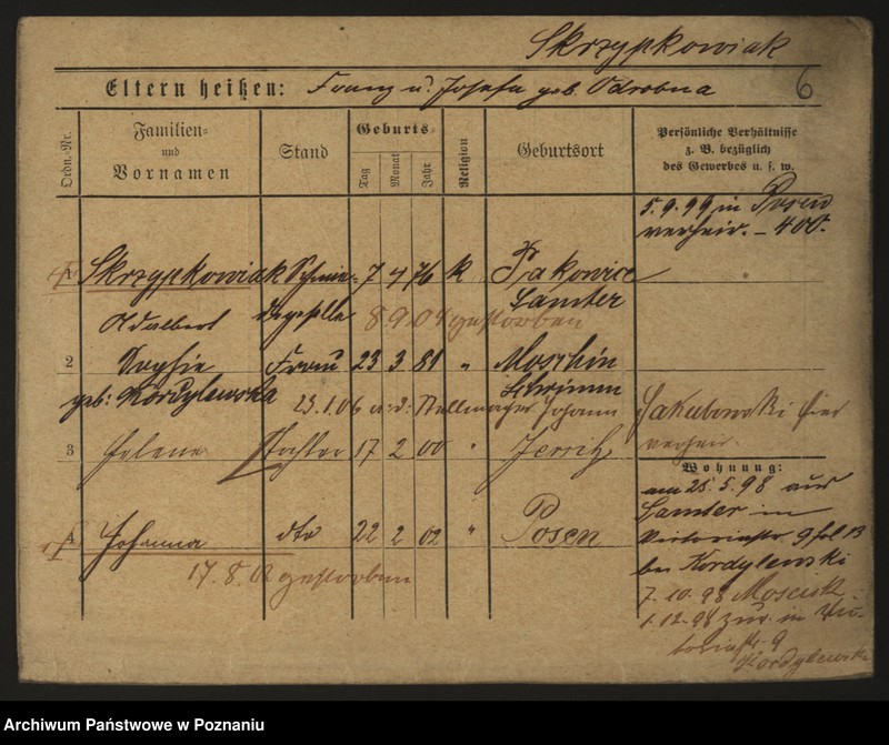 Obraz 16 z jednostki "Skrzypkowiak - Skórnik"