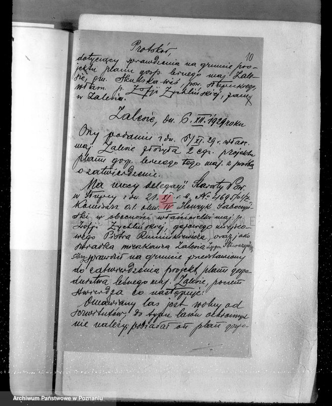 Obraz 13 z jednostki "Sprawa zmiany rodzaju użytkowania 14,42 ha gruntów leśnych w majątku Zalesie powiatu słupeckiego i zatwierdzenie planu gospodarczego"