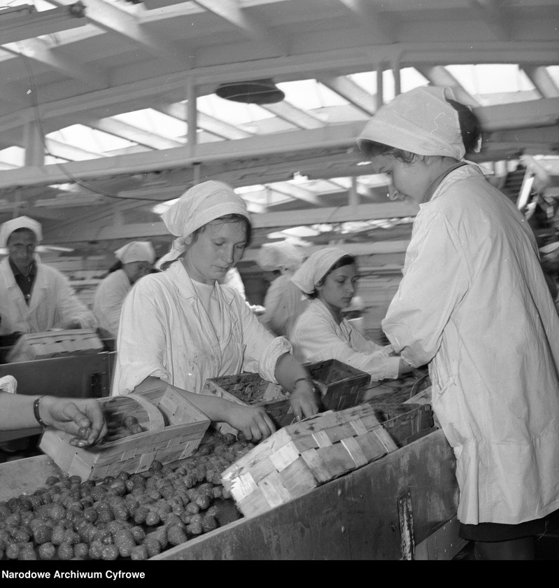 image.from.unit.number "Zakład produkcyjny Przedsiębiorstwa Handlu Zagranicznego "Hortex" w Górze Kalwarii"