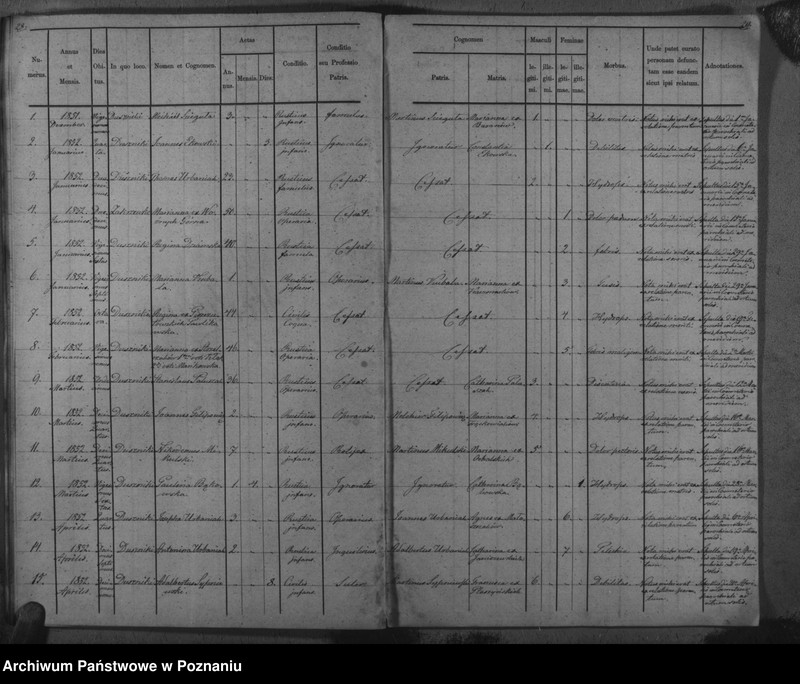 Obraz 18 z jednostki "Duplicat baptisatorum, copulatorum, mortuorum"