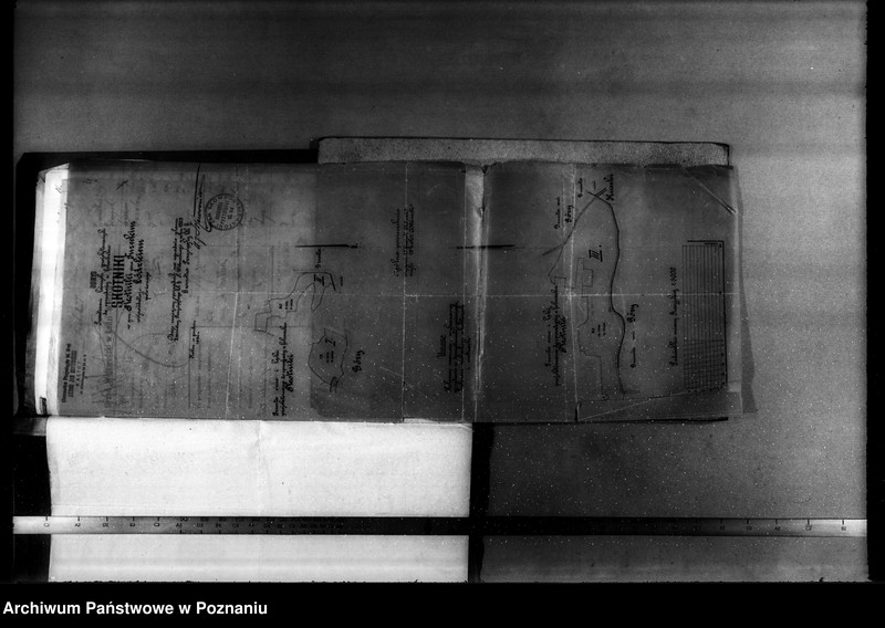 Obraz 8 z jednostki "Sprawa zatwierdzenia projektu planu gospodarstwa leśnego dla lasu majątku Czepów-Dolny powiat turecki"