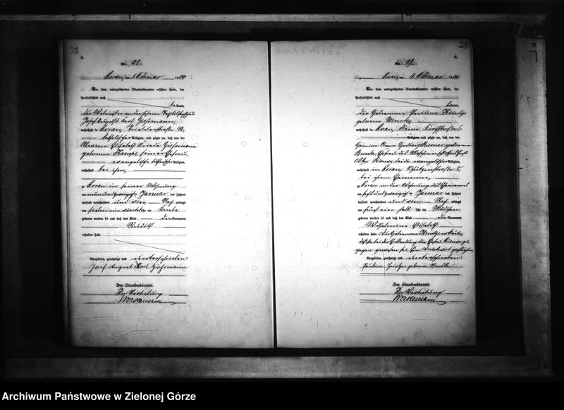 Obraz 19 z jednostki "[Księga akt urodzenia rok 1904-Żary miasto]"