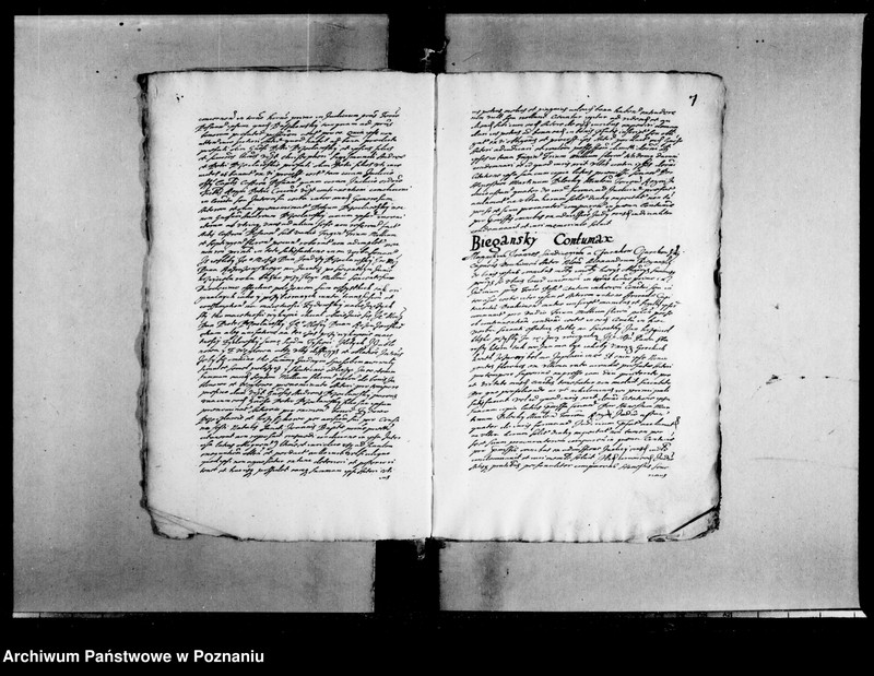 Obraz 12 z jednostki "Decreta [inducta]"