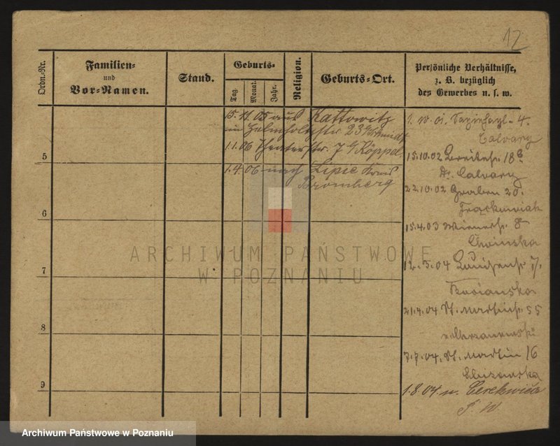 Obraz 12 z jednostki "Kałużewicz - Kaminowski"