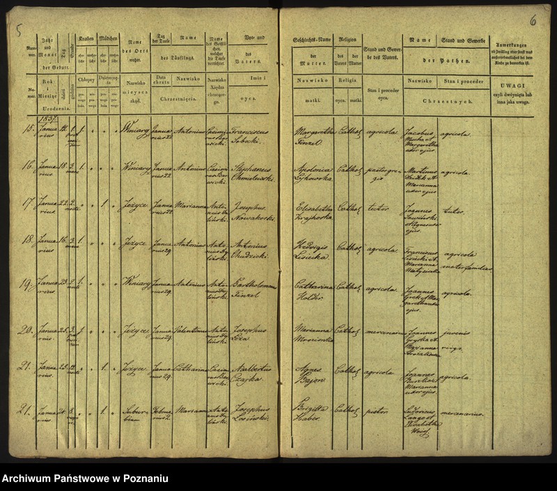 Obraz 6 z jednostki "Księga urodzeń"