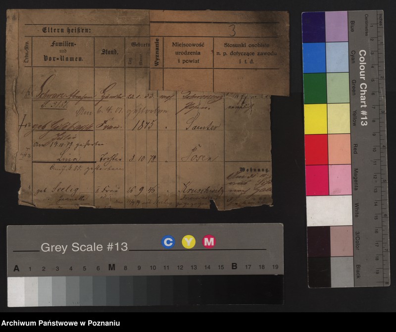 Obraz 10 z jednostki "Szwarc (żonaci i wdowy)"