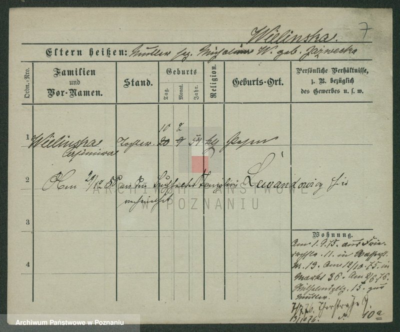 Obraz 17 z jednostki "Wieczorkiewicz - Wiertel"