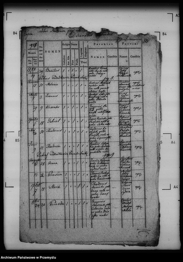 Obraz 17 z jednostki "[Kopie ksiąg metrykalnych parafii Szmitków z filiami Moszków, Sawczyn (dekanat Bełz)]"