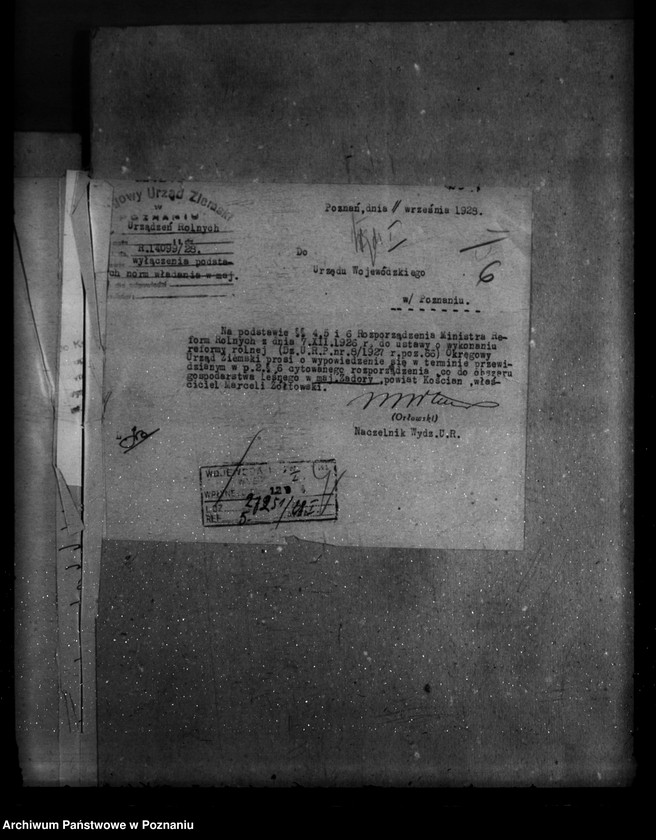 Obraz 10 z jednostki "Majętność leśna Zadory powiat kościański"